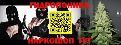 шишки Тара