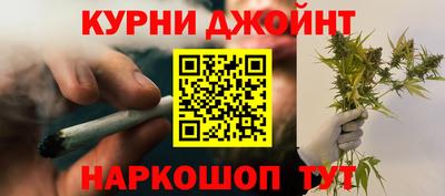 шишки Тара