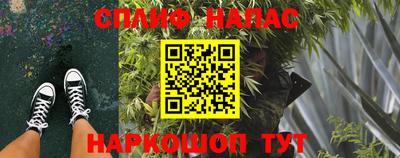 шишки Тара