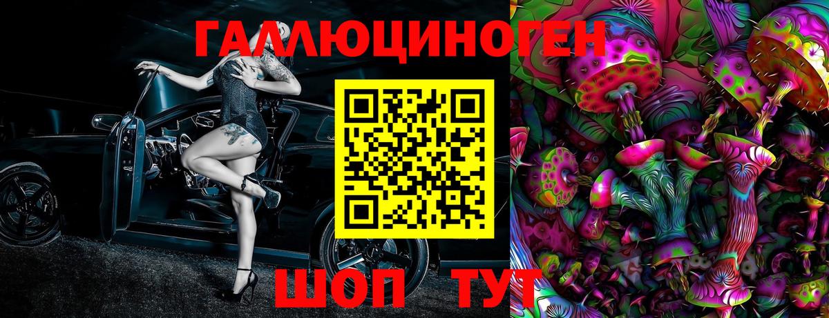 Новоалтайск  Псилоцибиновые грибы MAGIC MUSHROOMS  где купить   Вход с VPN 